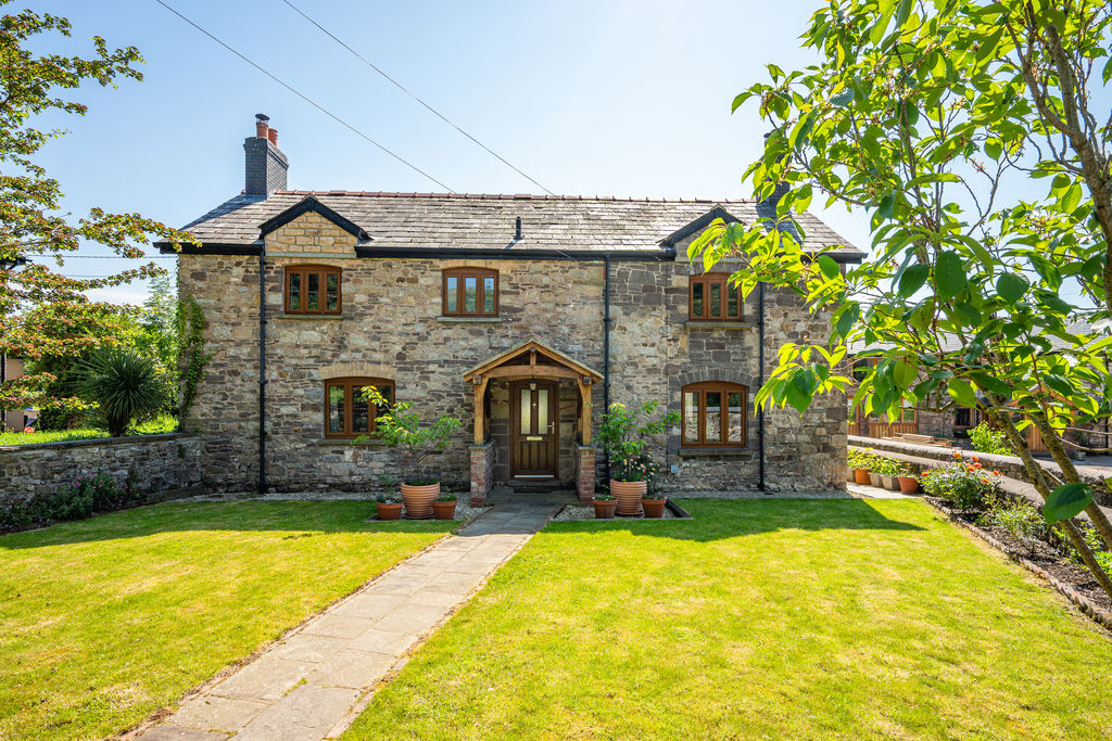 Main Image
